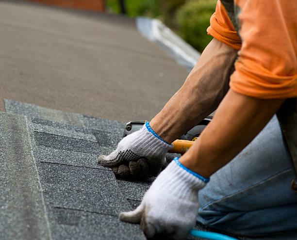 Best Storm Damage Roof Repair  in Easton, PA